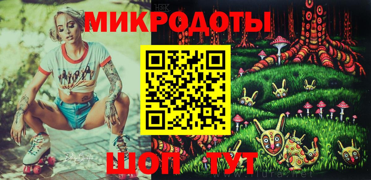 Псилоцибиновые грибы Psilocybe Муравленко
